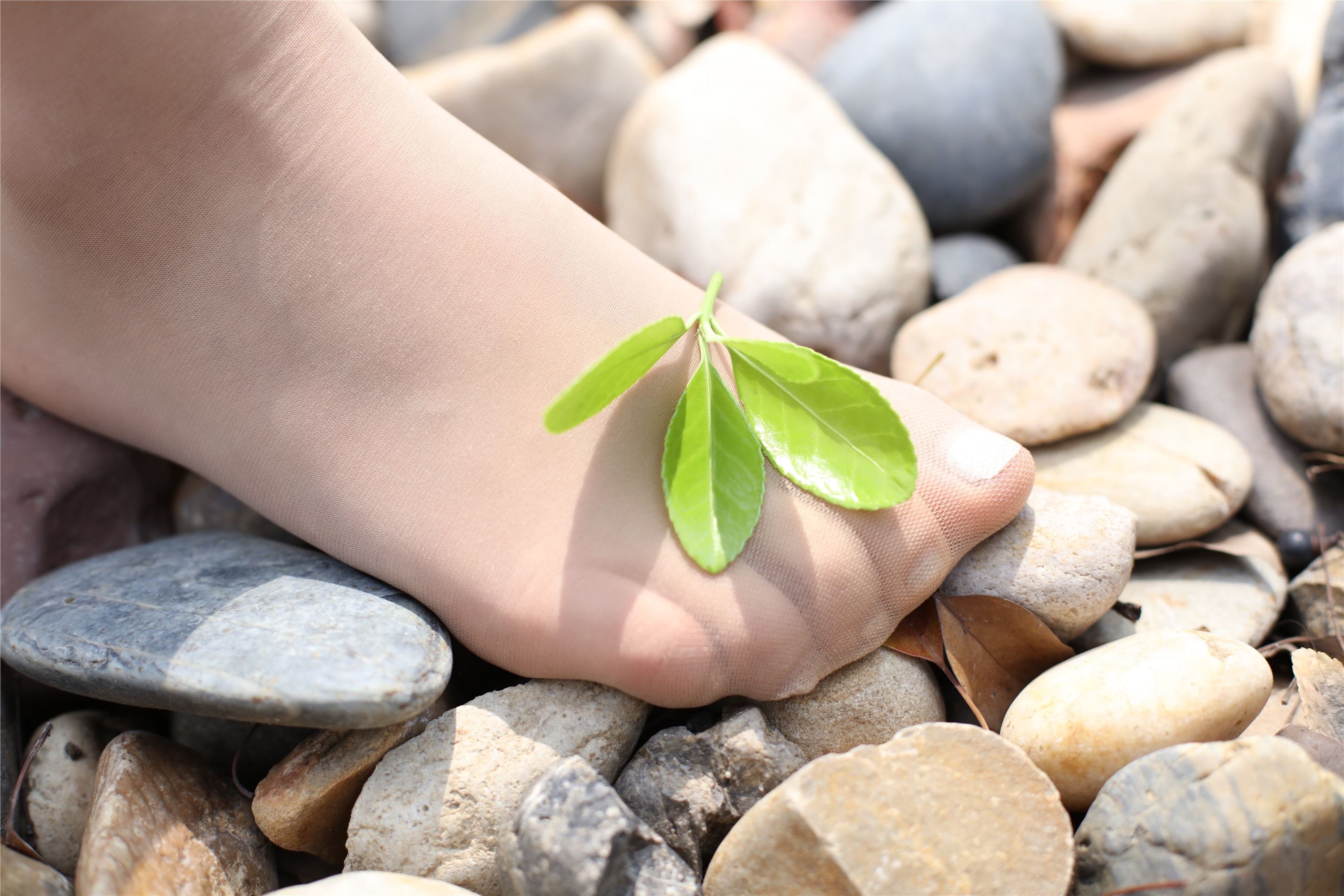 奈丝写真  NO.095 高高-静坐庭院 细看肉丝